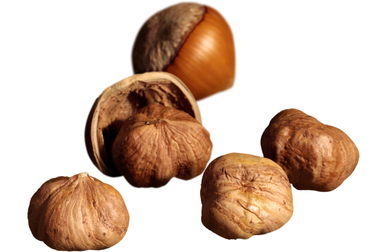 Haselnüsse – Snacknuts.de Haselnüsse – Snacknuts.de